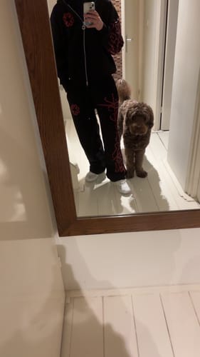 Customer photo review of BLOODLINE SWEATPANTS