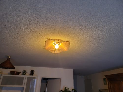 Customer photo review of Rose | Plafonnier