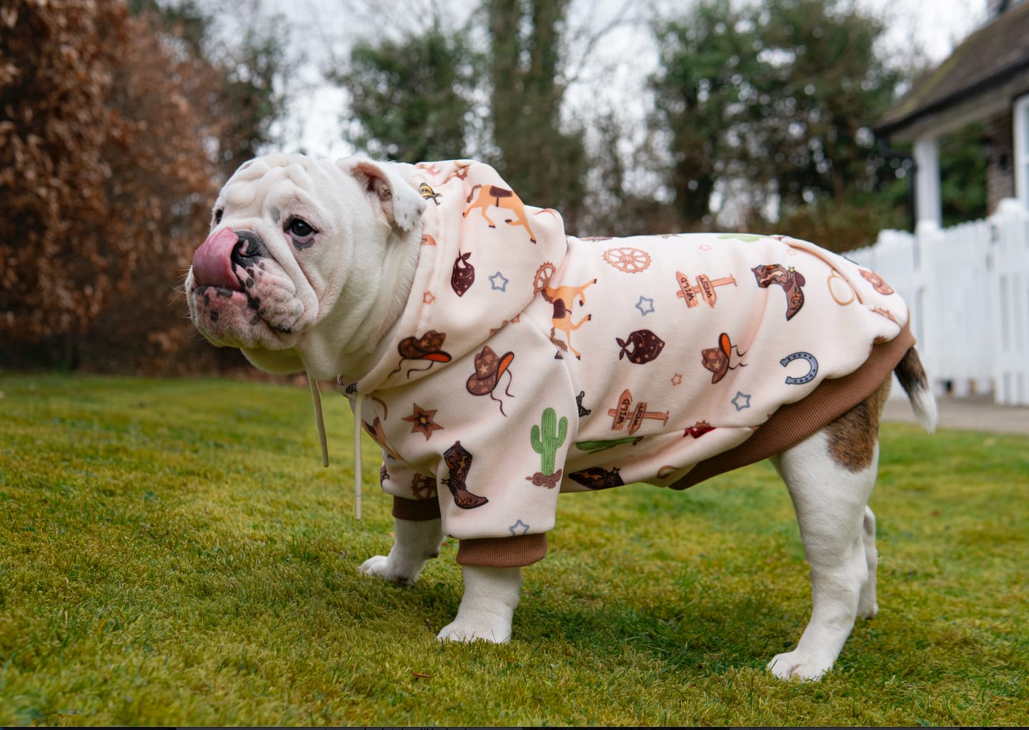 Customer photo review of Rodeo Dog Hoodie