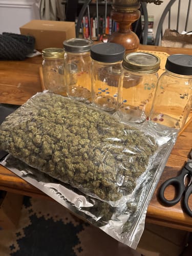 Customer photo review of Sour Diesel THCA Flower