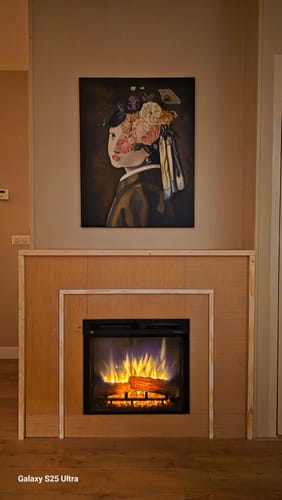 Peggy S. review of Dimplex Elektrische Inzethaard Firebox XHD23  - 58cm image 1 out of 1