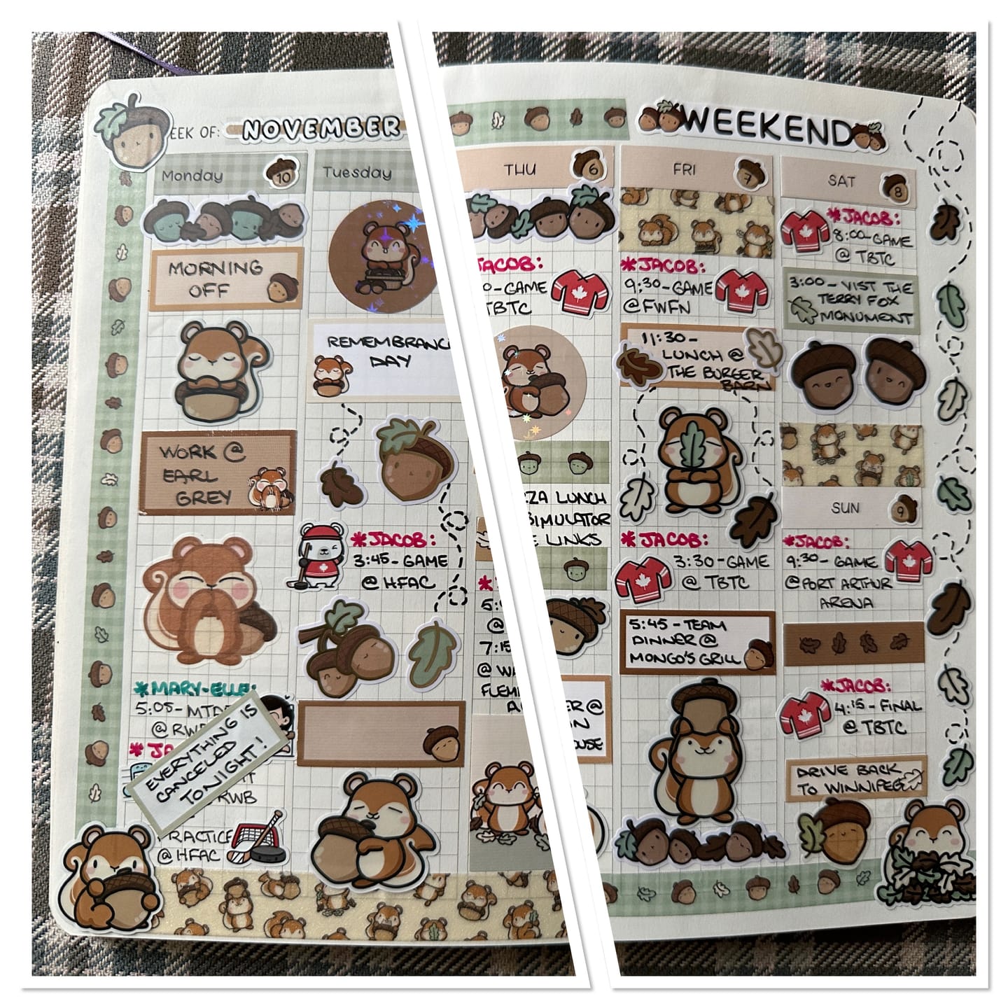 Customer photo review of Squirrelly Acorn Washi Tapes (Set of 2)