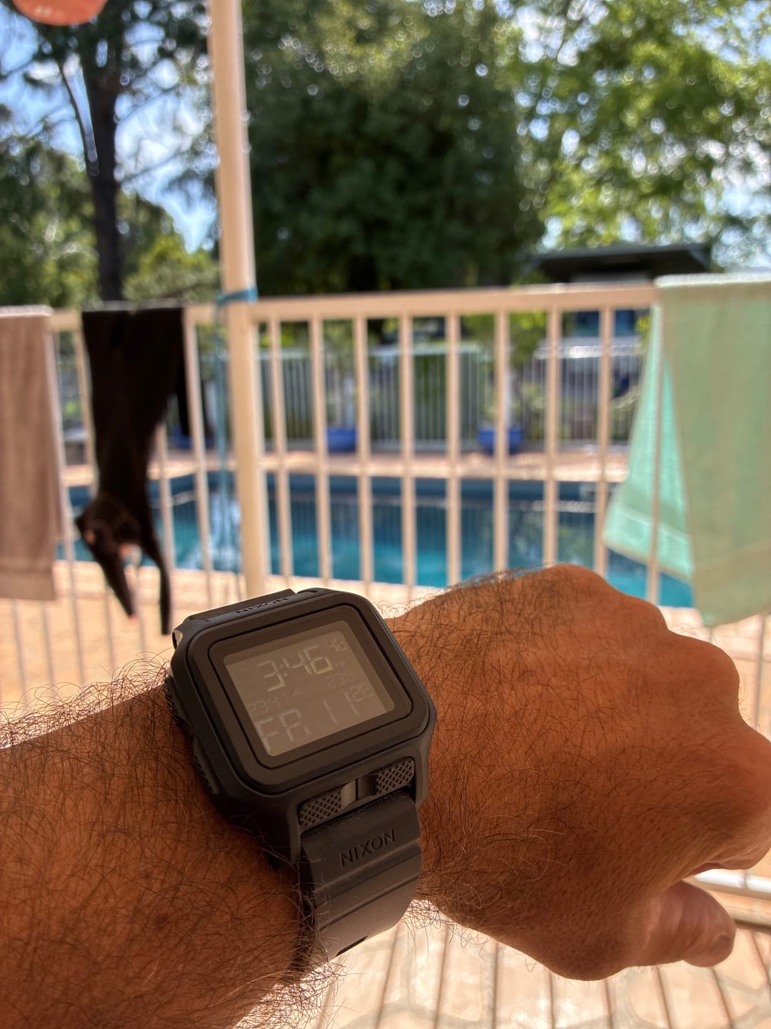 Customer photo review of REGULAS MK1