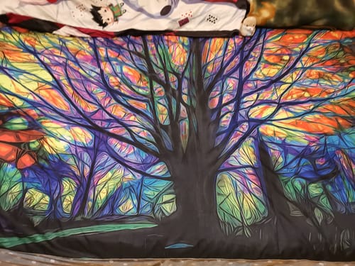 Customer photo review of Tenture Raman