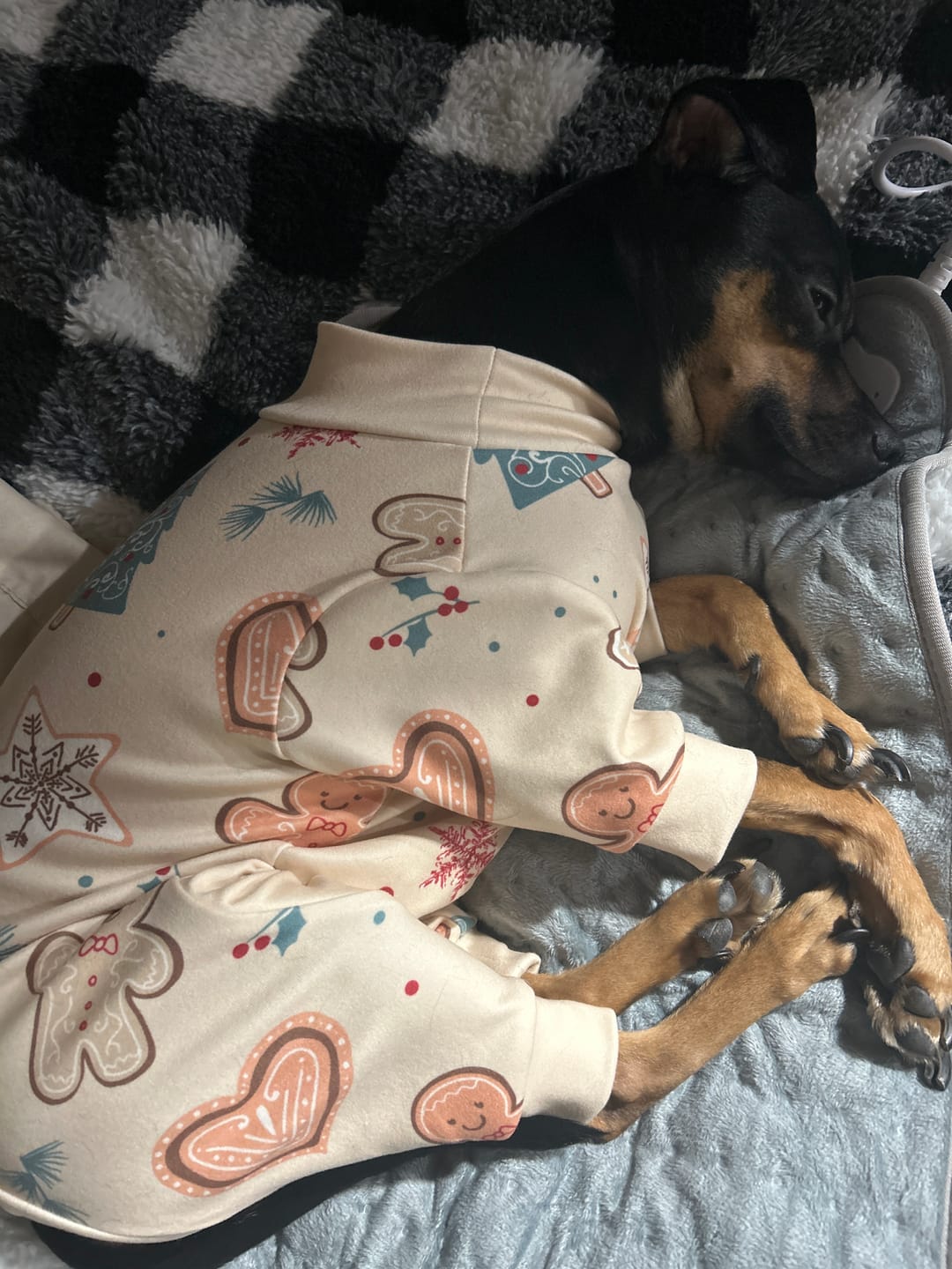 Customer photo review of Dog Christmas Pajama - Frosty Night