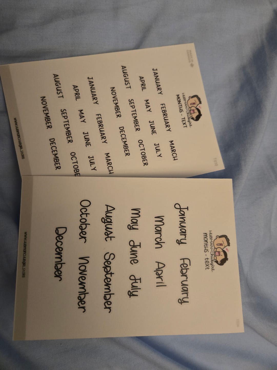 Customer photo review of Months Text  Planner Stickers - Handwritten Simple