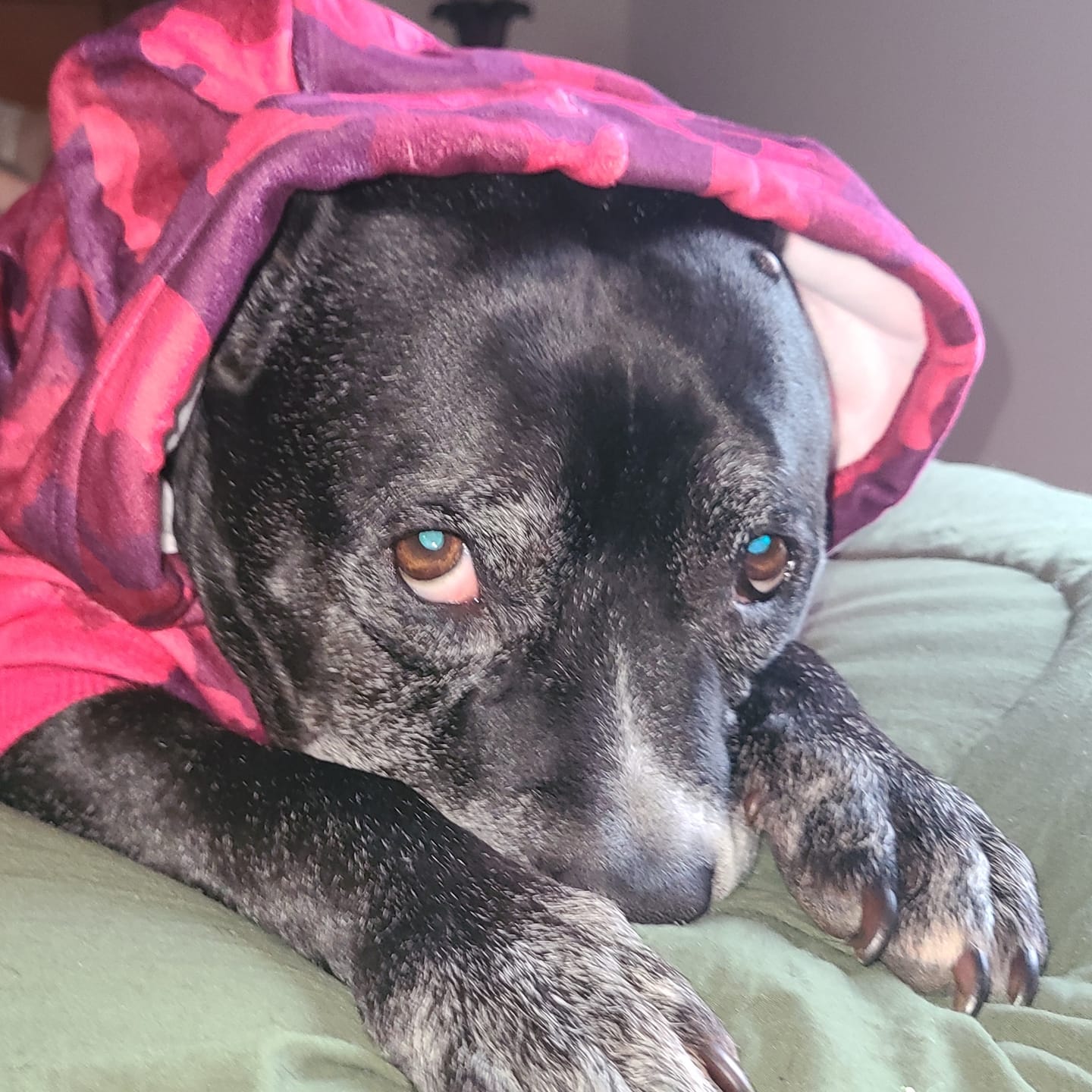 Customer photo review of Fuchsia Camo Human Hoodie