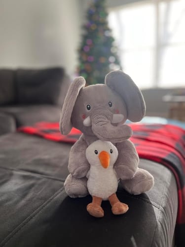 Customer photo review of Interactive Singing and Recordable Stuffed Animal