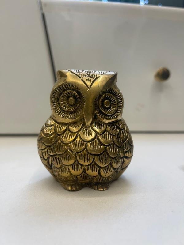 Customer photo review of Premium Owl 100% Pure Brass Statue Idol Decorative Showpiece for Home, Office and Gifting by Vastu Mandir