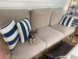 Customer photo review of Dog Proof Cushion Covers 2
