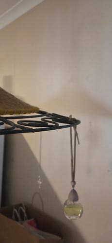 Customer photo review of Japanese Honeysuckle - Hanging Diffuser