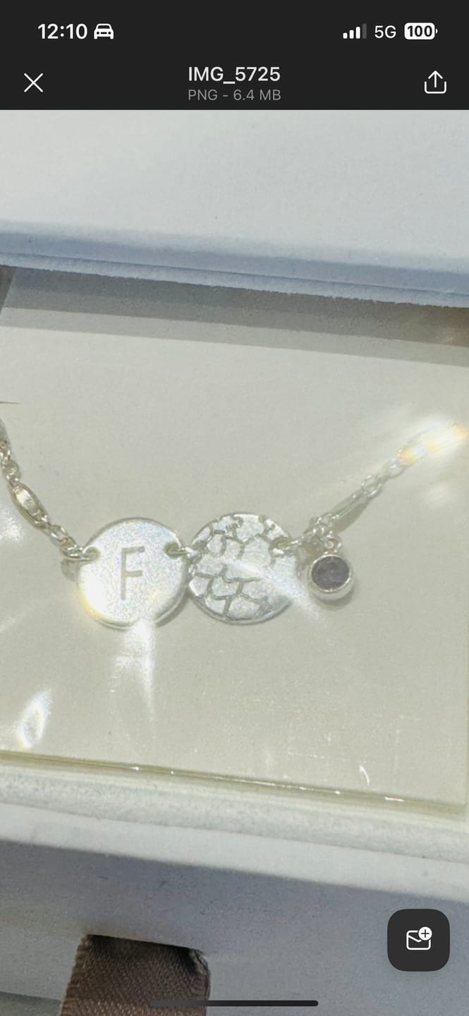 Customer photo review of Halle Small Disk Necklace