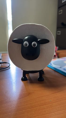 Customer photo review of Mon petit mouton farceur®