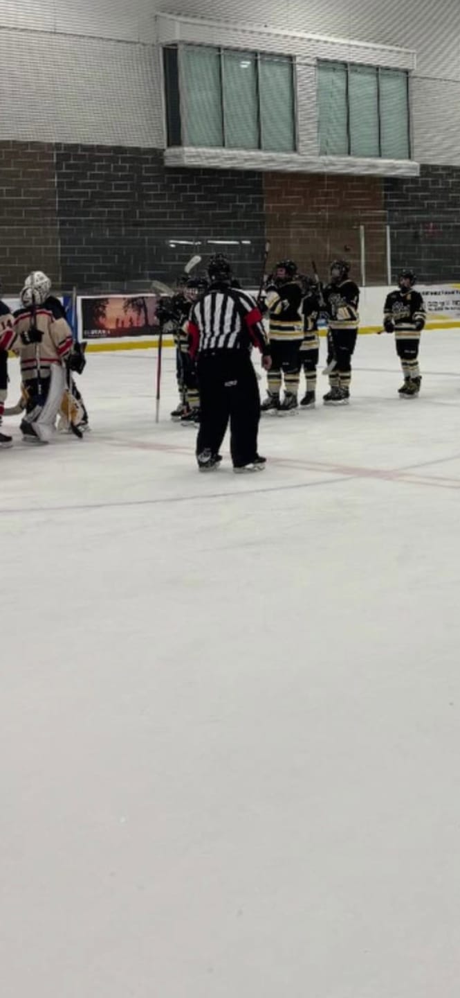 Customer photo review of ZRE HOCKEY REFEREE JERSEY WITH SEWN-IN ARMBANDS