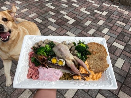 Customer photo review of Fishdog Blue Whiting - 2.5 oz (70g)