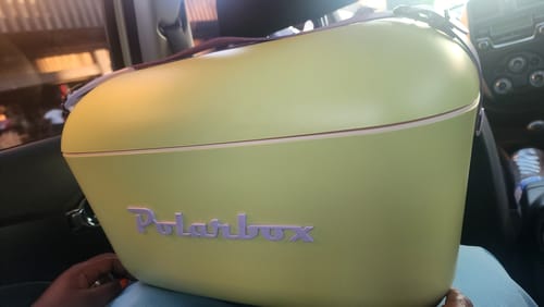 Customer photo review of Polarbox Retro Cooler Box 12L | 20L Lime and Malva