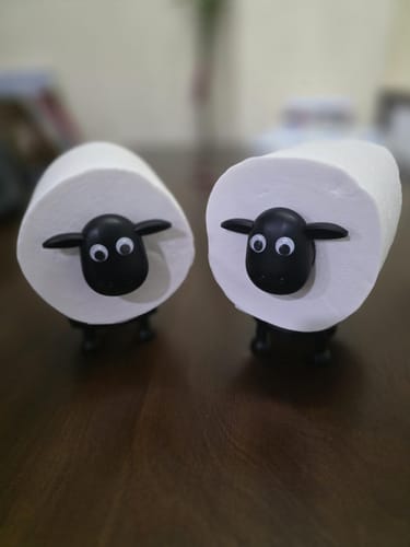 Customer photo review of Mon petit mouton farceur®