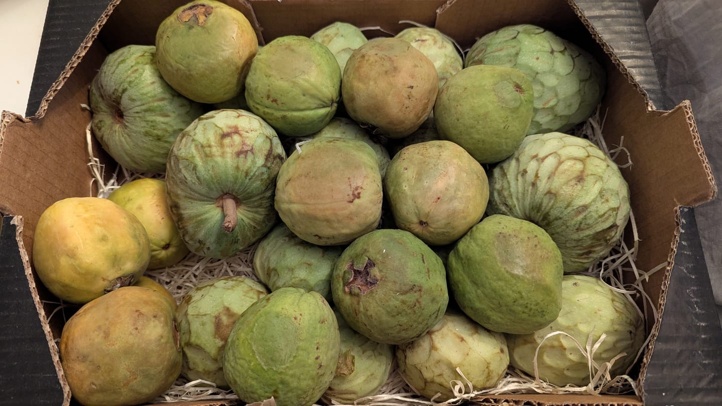Customer photo review of Cherimoya Bio von Julian Sonderaktion