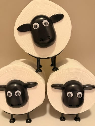 Customer photo review of Mon petit mouton farceur®