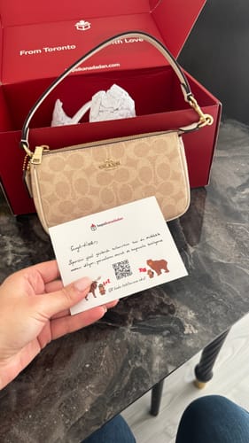 Customer photo review of Coach Women's Nolita 19 In Signature Canvas Gold/Sand/Chalk