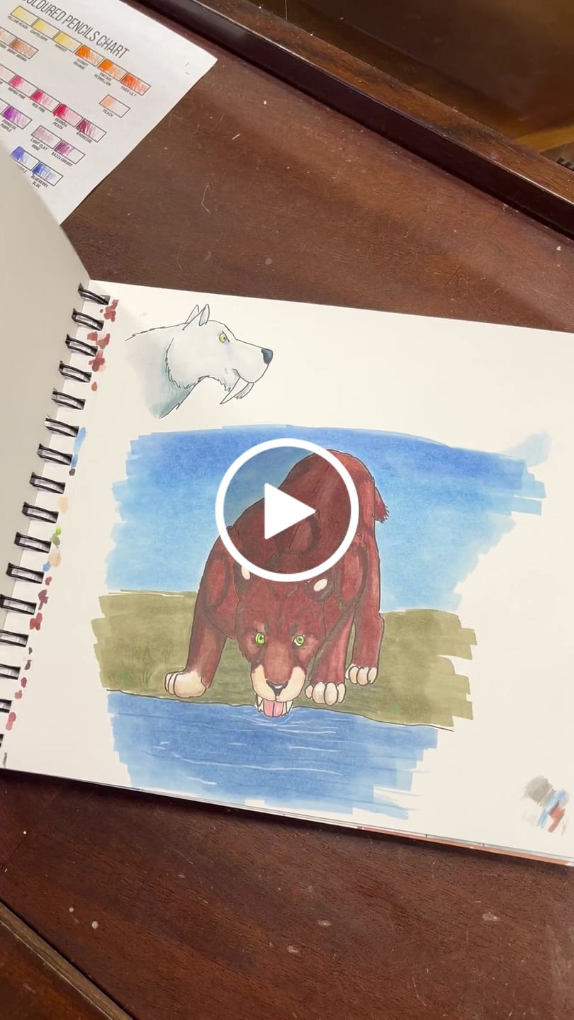 Customer video review of Ohuhu Spiral-Bound Marker Pad for Alcohol Markers