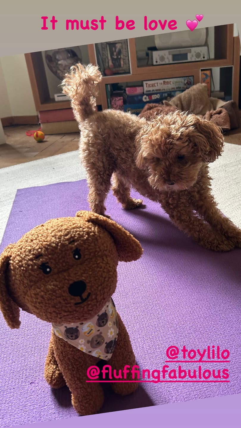 Customer photo review of Toy Lilo Plushie