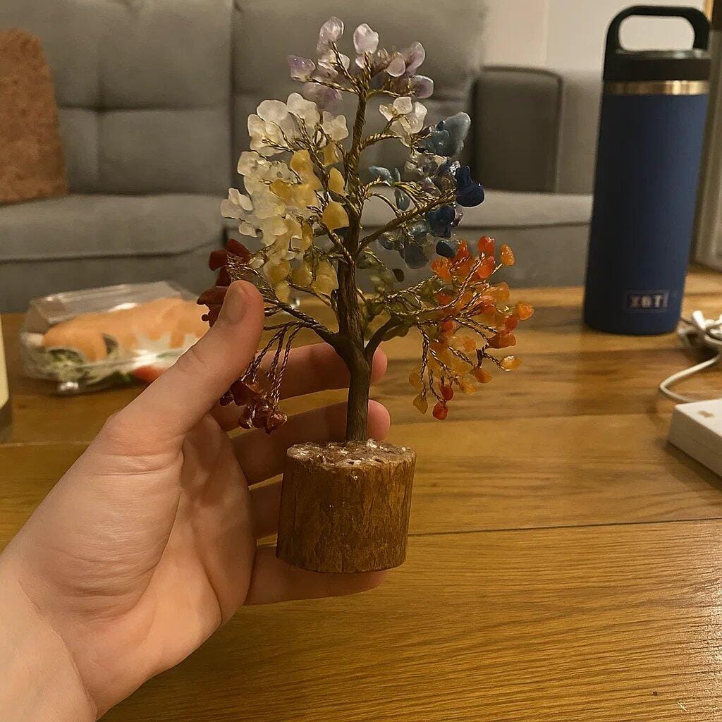 Customer photo review of Premium 7 Chakra Vastu Tree (600 Beads, 12 Inch) for Complete Energy Alignment, Harmony, and Wellness | Holistic Healing Crystal Tree By Vastu Mandir