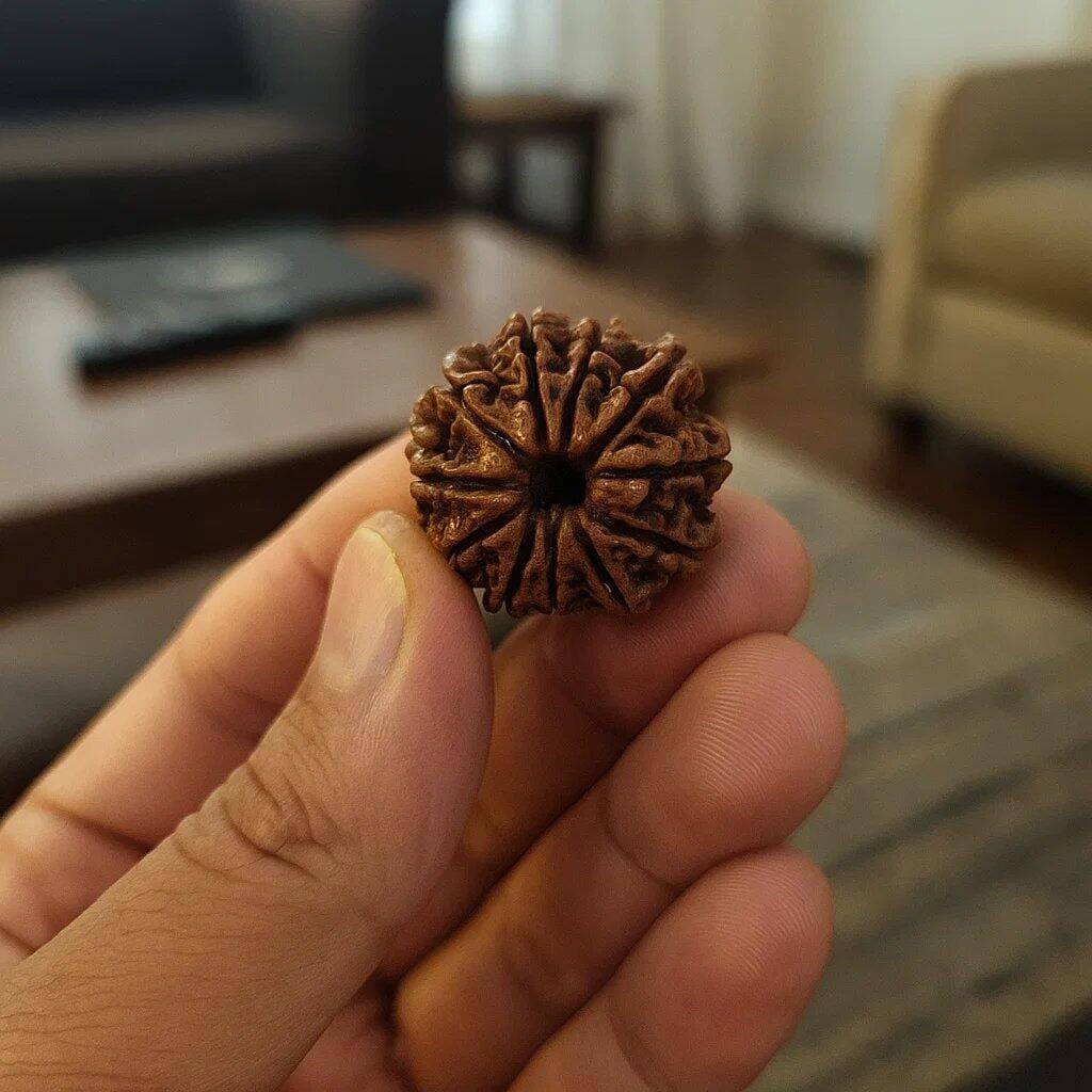 Customer photo review of 11 Mukhi Rudraksha – Original Eleven Face Rudraksha Bead for Strength, Wisdom & Spiritual Power by Vastu Mandir
