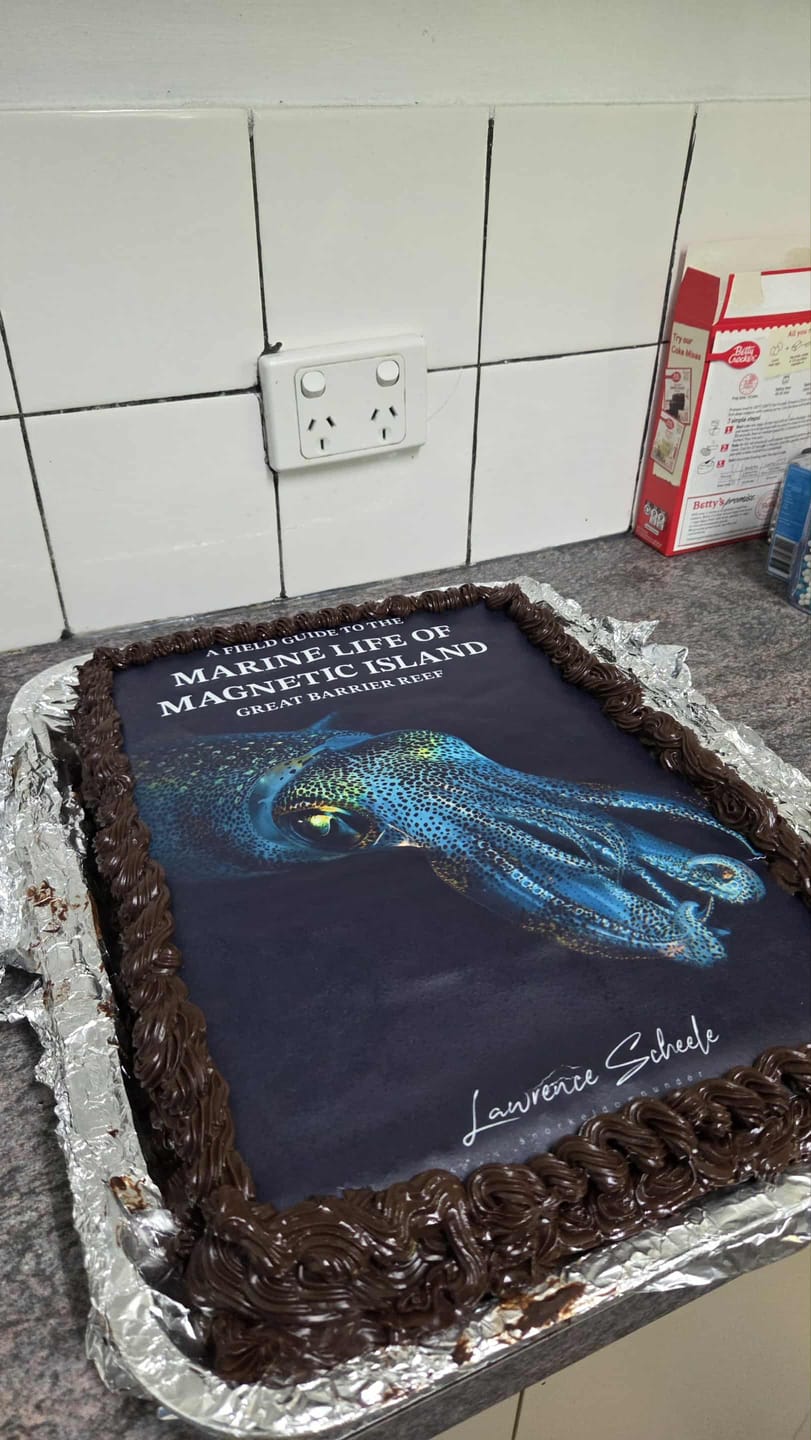 Customer photo review of A3 Rectangle Custom Edible Icing Image