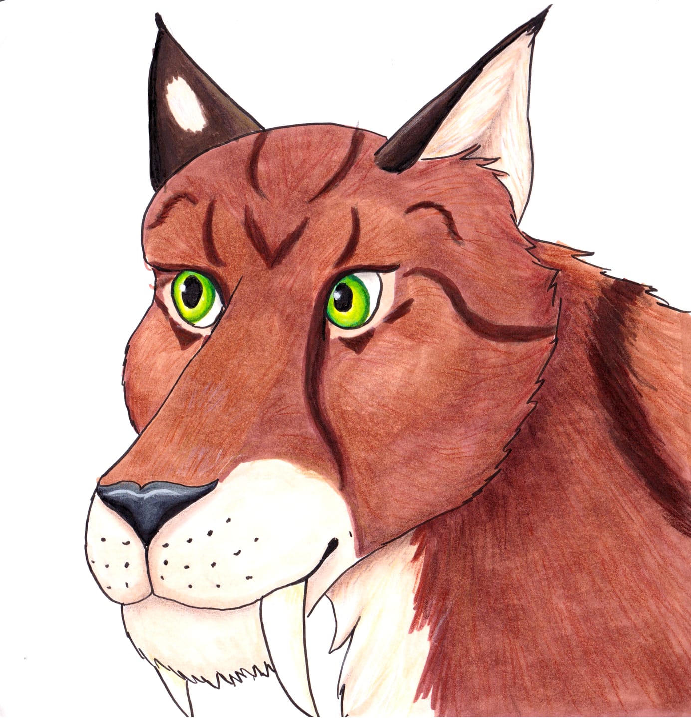 Customer photo review of Ohuhu Honolulu 6 Colors Dual Tips Alcohol Art Markers