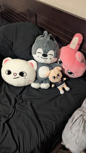 Customer photo review of SKZ Teddybear Plush