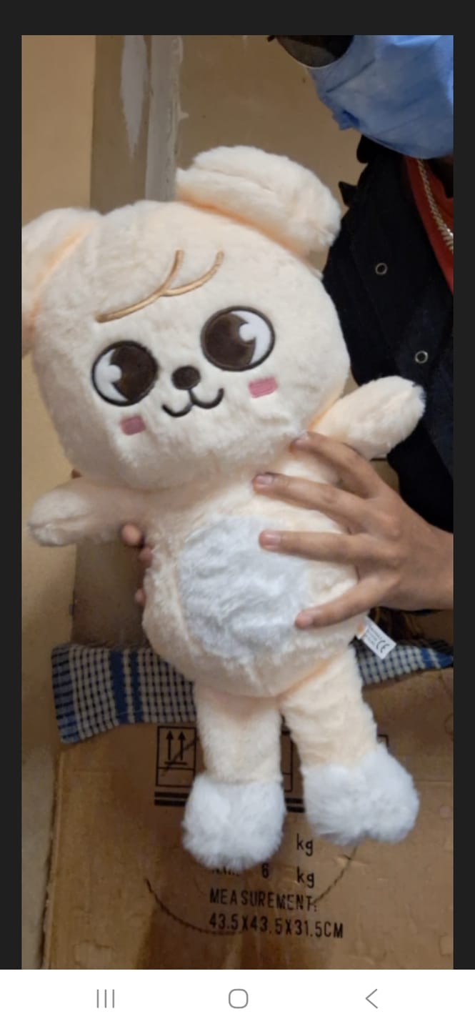 Customer photo review of SKZ Teddybear Plush