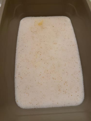 Customer photo review of 3 Month Supply - 2 Cats