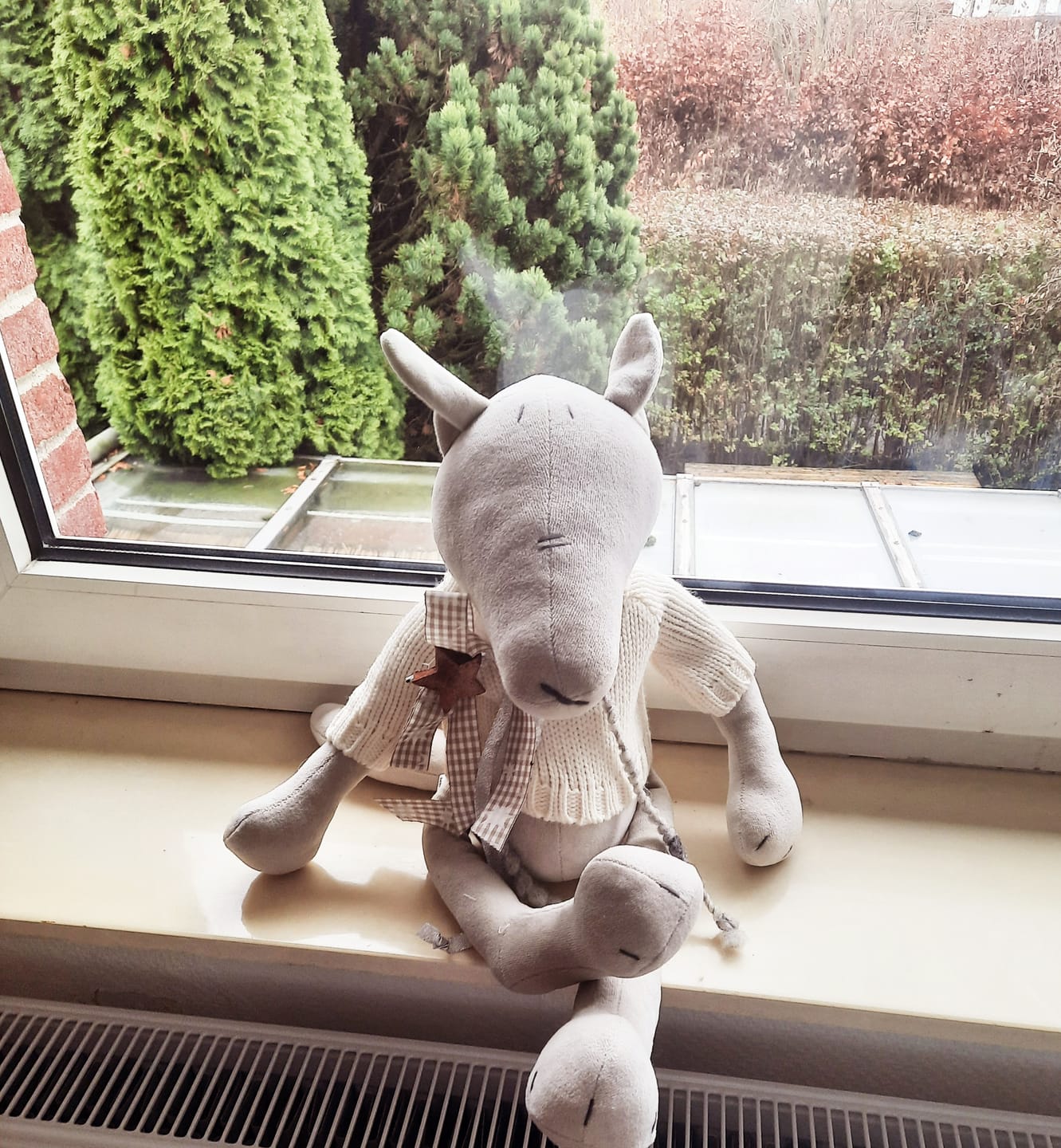 Customer photo review of PIOTR LE LOUP - L