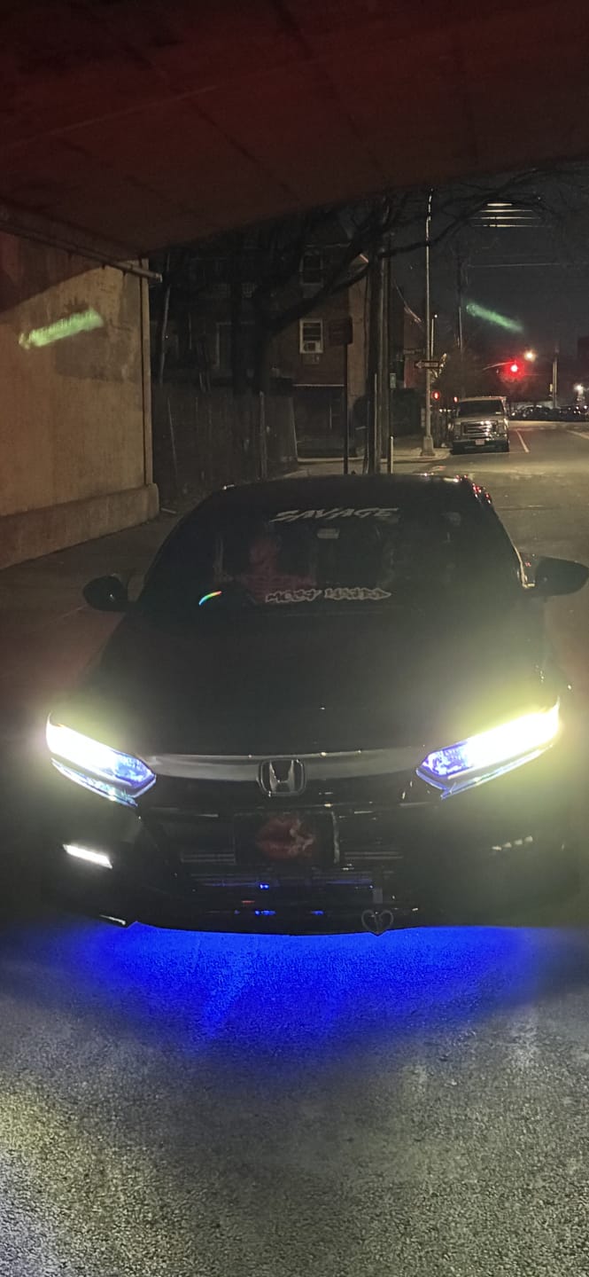 Customer photo review of Create Your Own Custom Magnetic License Plate Cover