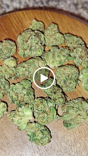 Customer video review of Strawberry Cough - Minis - 14 Grams - Sativa