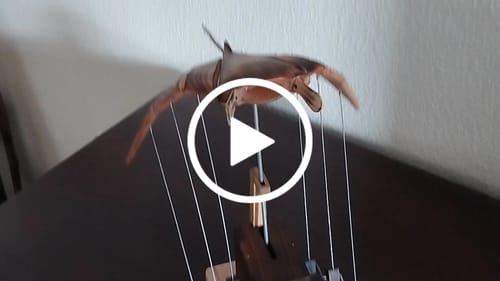 Customer video review of Handcrafted Wooden Manta Ray Automaton