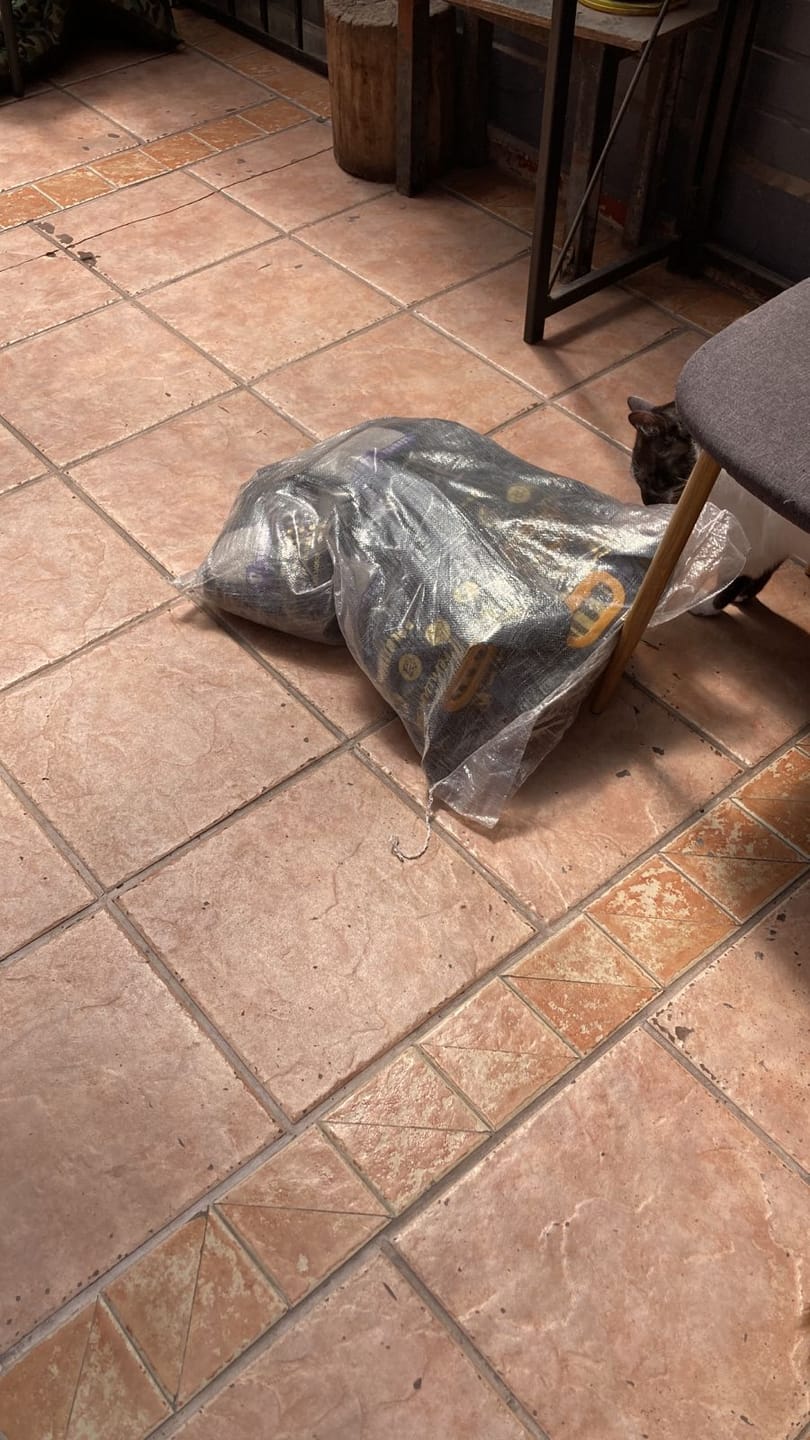 Customer photo review of Arena Minino Aglutinante 20kg