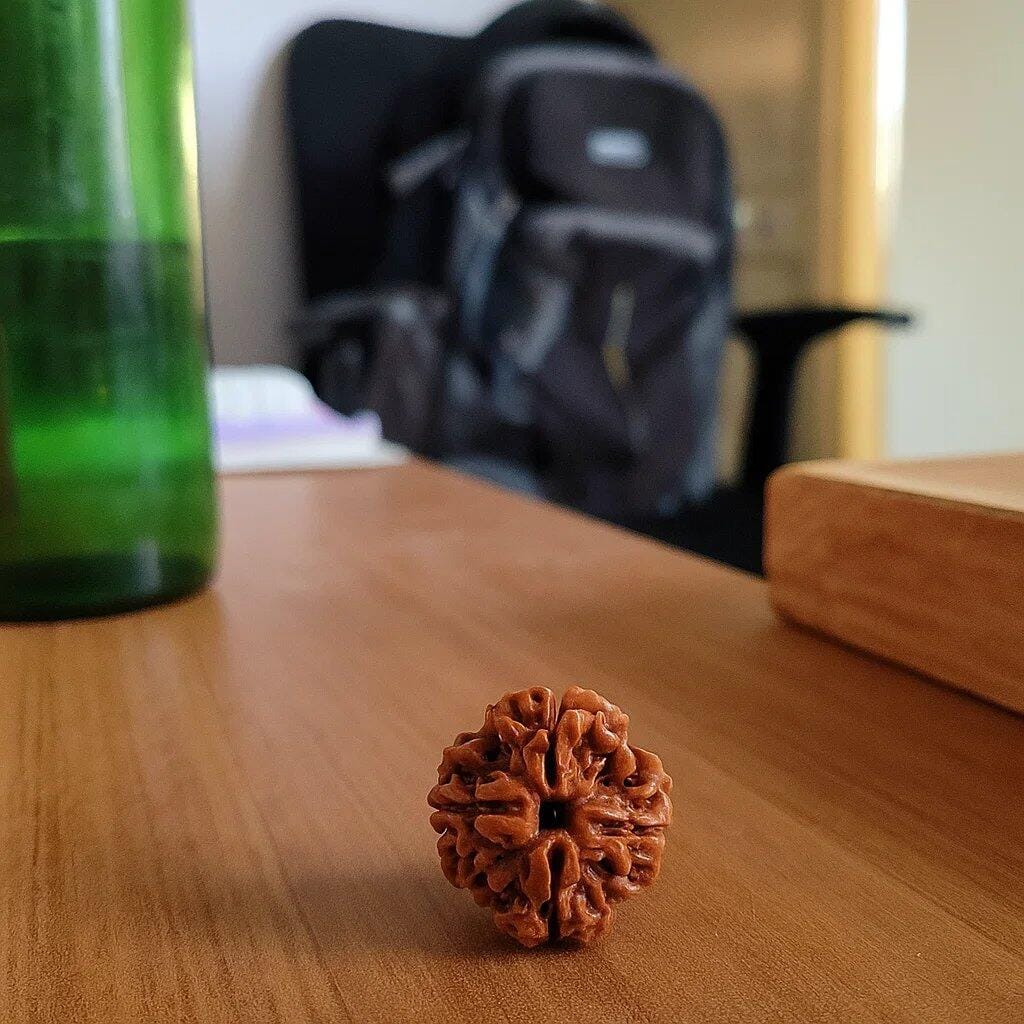 Customer photo review of 4 Mukhi Rudraksha – Natural Four Face Rudraksha Bead for Knowledge, Creativity & Clarity by Vastu Mandir