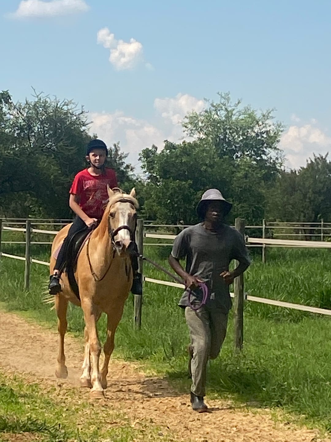 Customer photo review of Flexcare Equine (Joint Supplement For Horses)