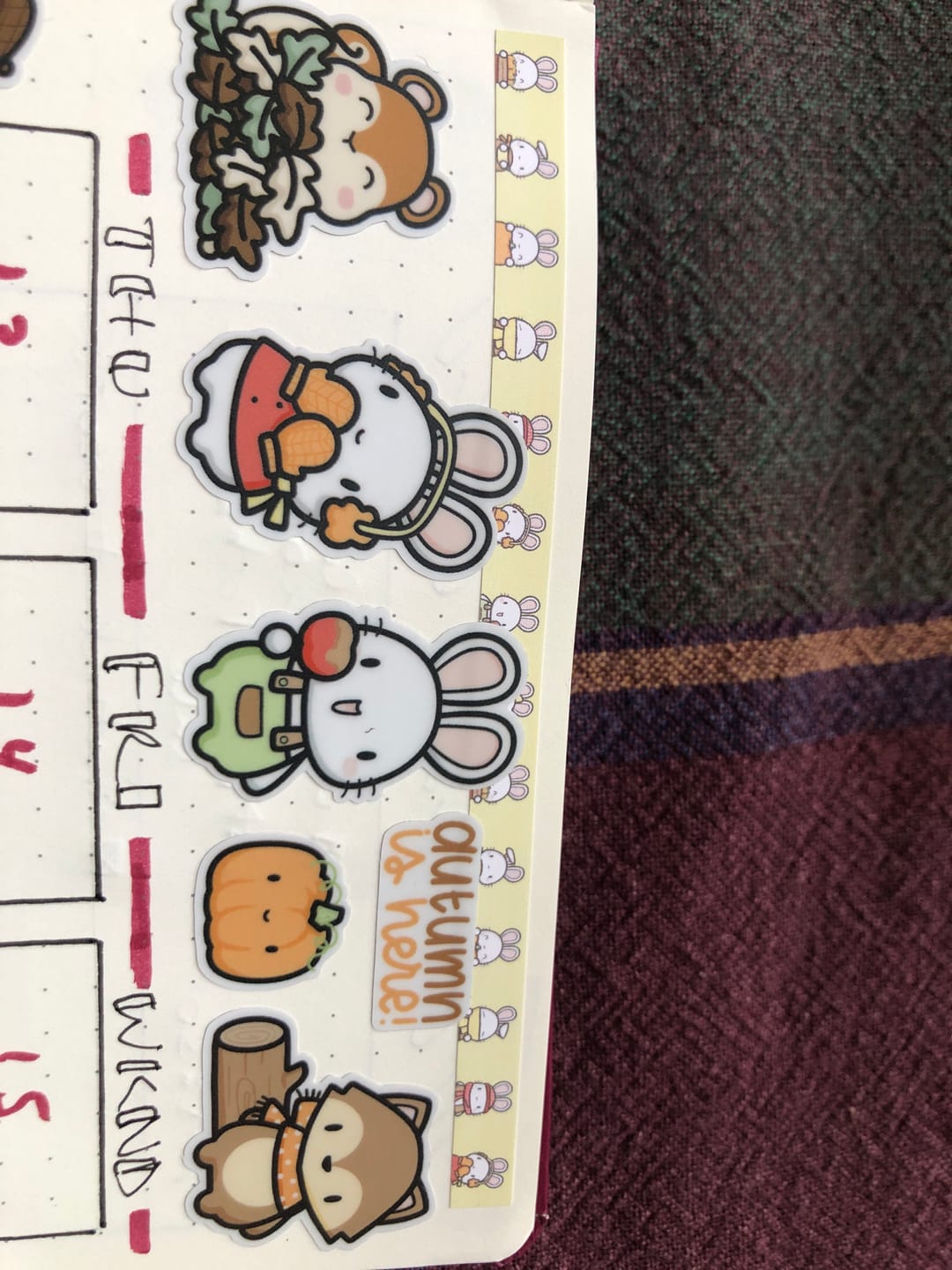 Customer photo review of Pumpkin Fox Sticker Sheet