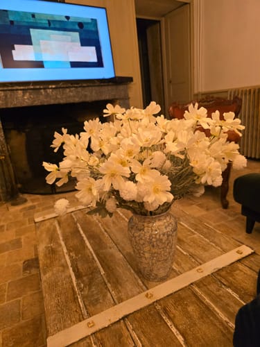 Customer photo review of Fleurs de Marguerite - Blanc (10 tiges)