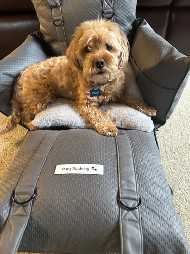 Customer photo review of Sleeping Paws Luxe Pooch Pad (Dog Bed Car Seat)