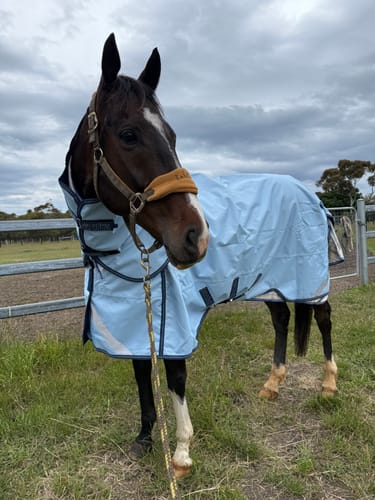 Customer photo review of LE Boxter Turnout 0g