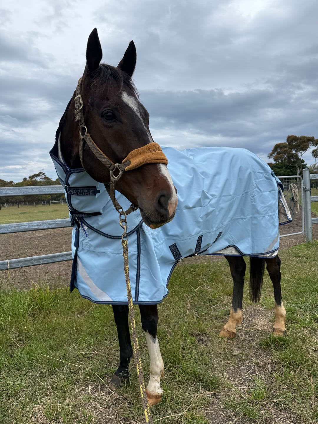 Customer photo review of LE Boxter Turnout 0g