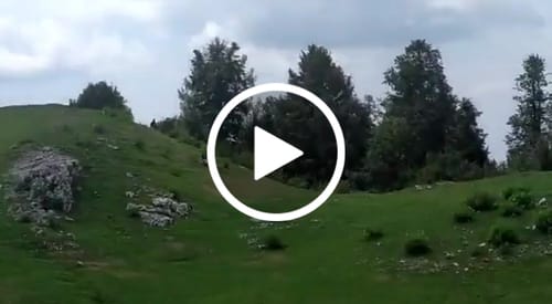 Customer video review of 4L Ultrasonic Humidifier