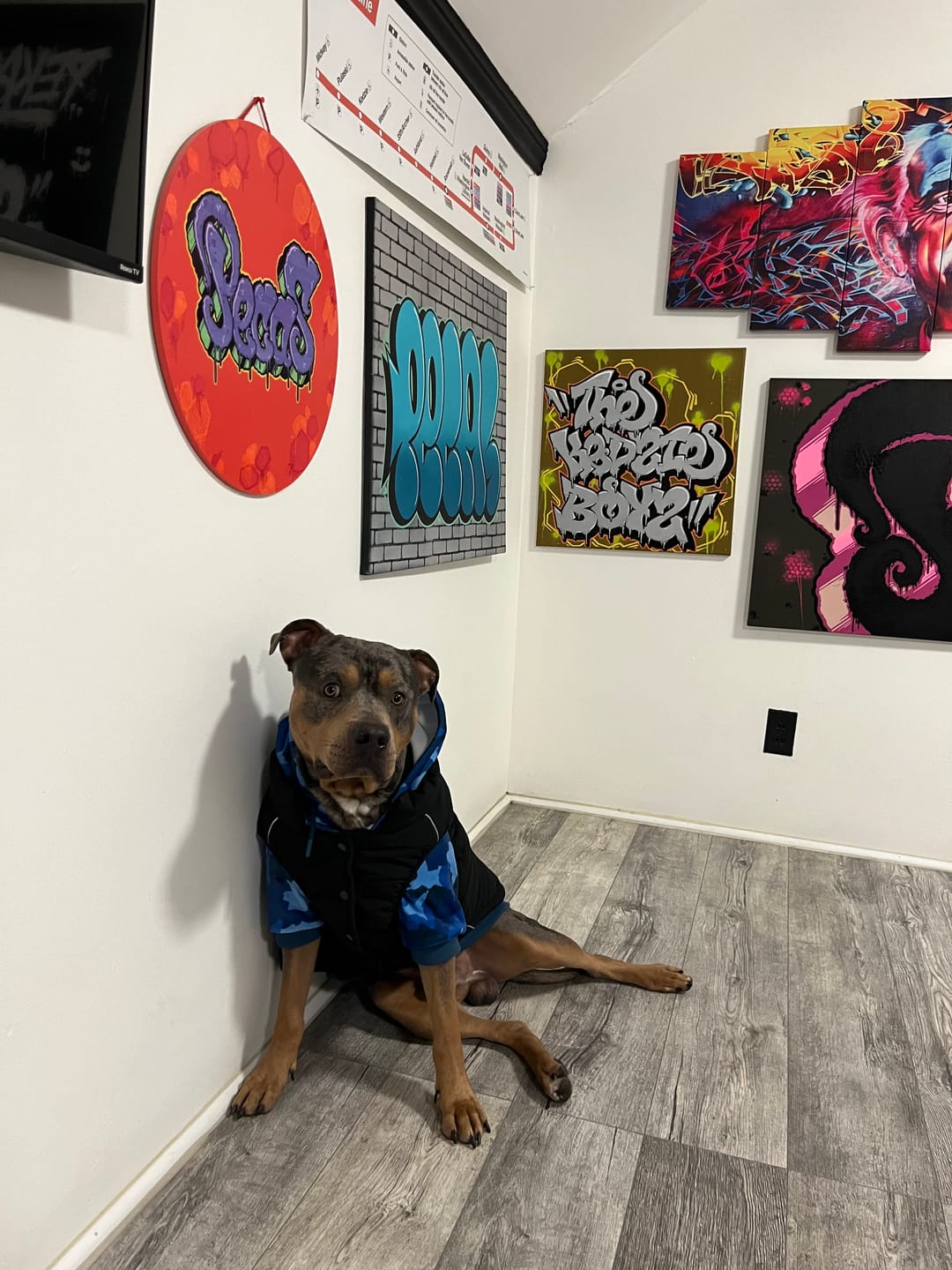 Customer photo review of WarmShield Water-Resistant Jacket - Black