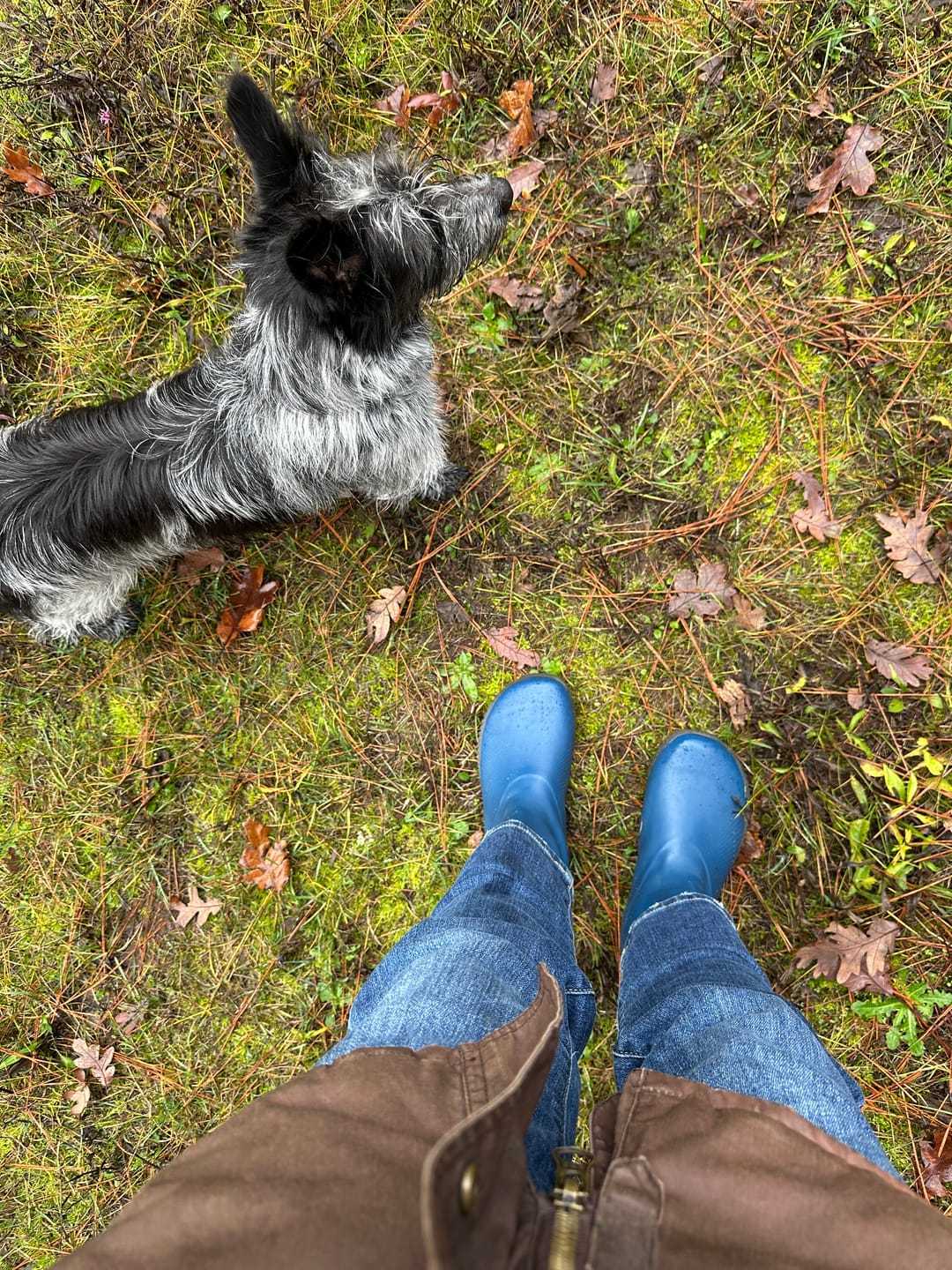 Customer photo review of Brisk Ⅰ - Barefoot Rain Boots