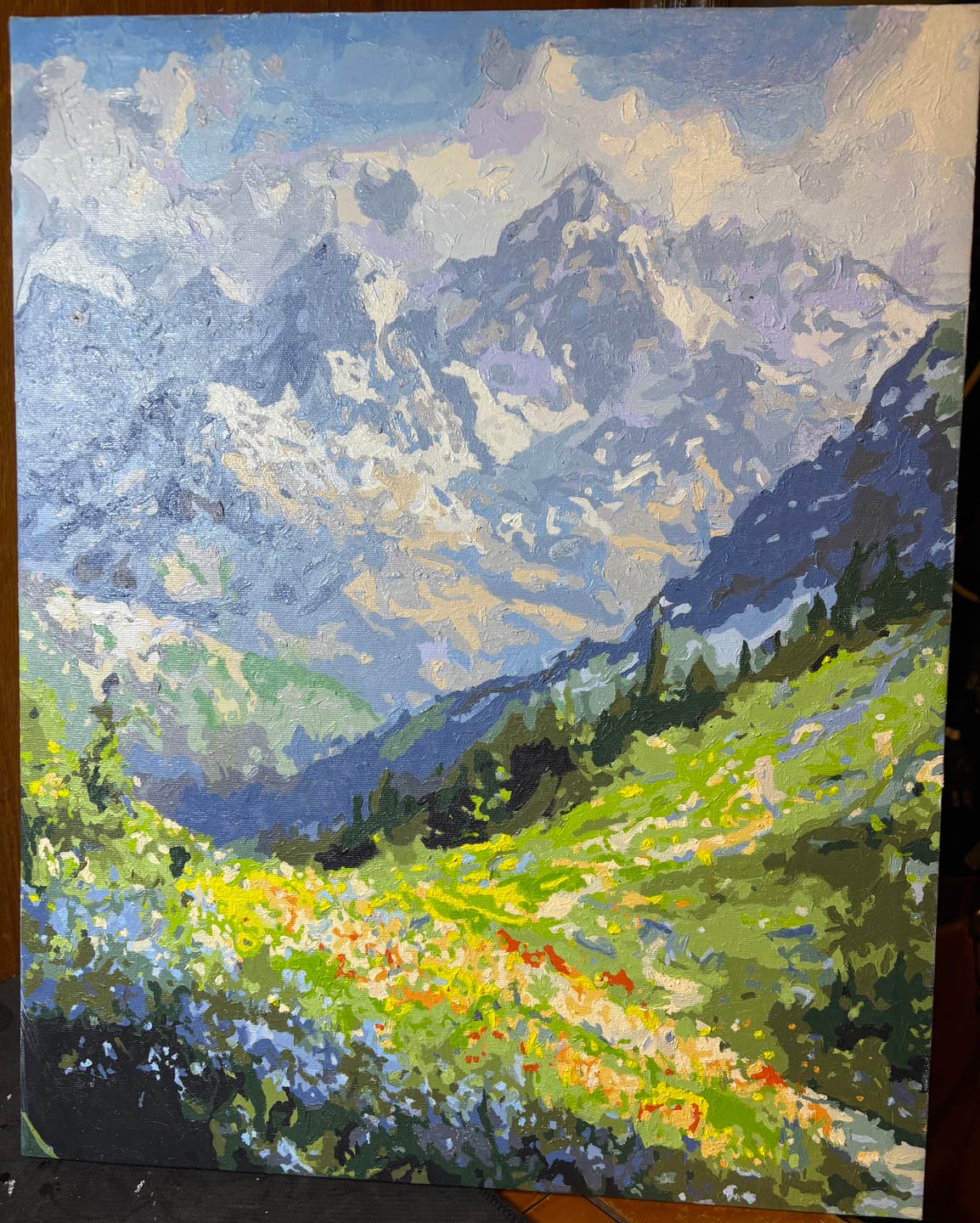 Customer photo review of Mountain Path