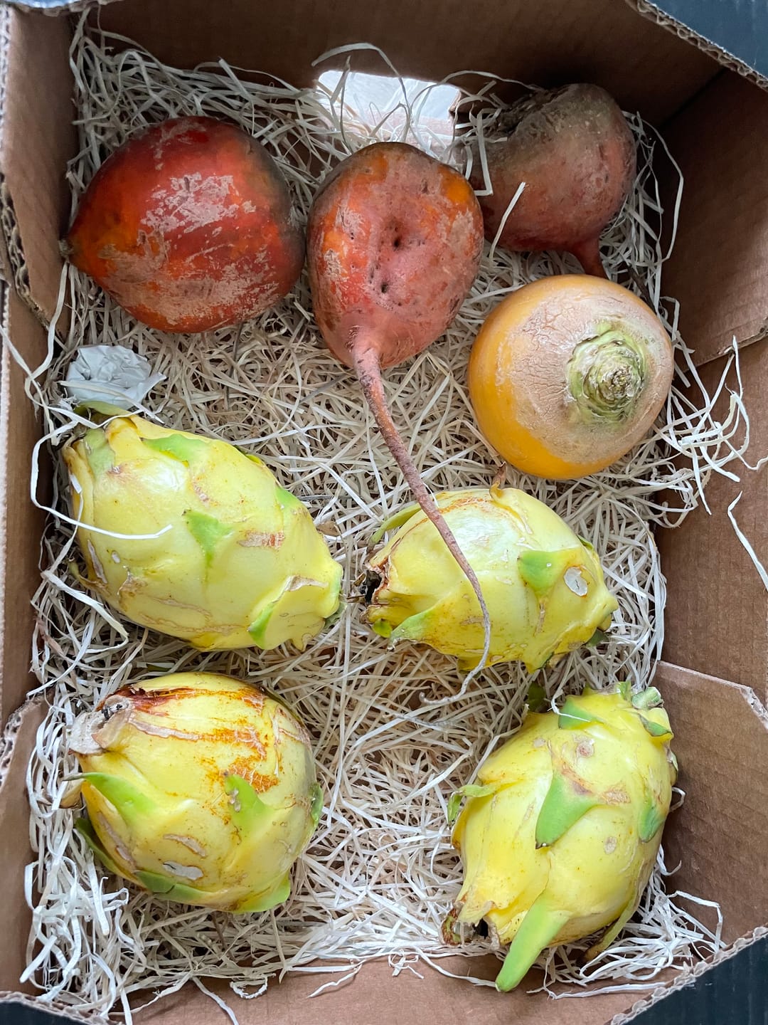 Customer photo review of Drachenfrucht gelb Bio von Salvador Retterbox